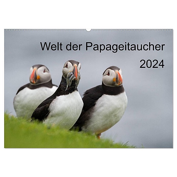Welt der Papageitaucher (Wandkalender 2024 DIN A2 quer), CALVENDO Monatskalender, Anna-Barbara Utelli