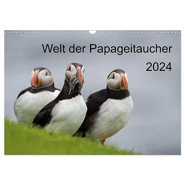 Welt der Papageitaucher (Wandkalender 2024 DIN A3 quer), CALVENDO Monatskalender, Anna-Barbara Utelli