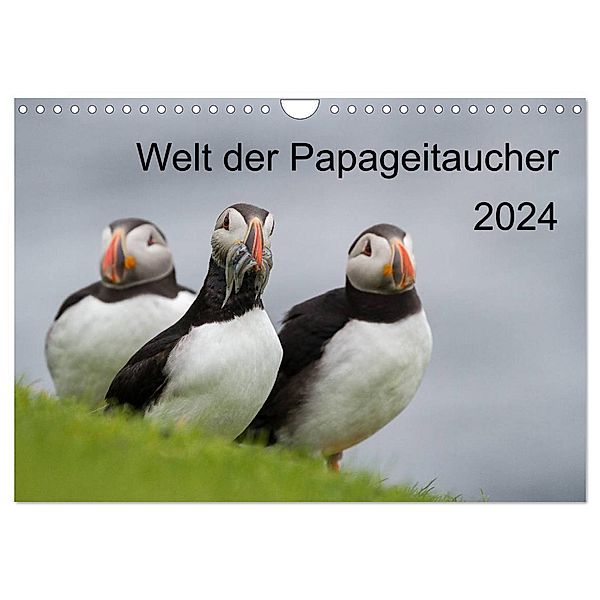 Welt der Papageitaucher (Wandkalender 2024 DIN A4 quer), CALVENDO Monatskalender, Anna-Barbara Utelli