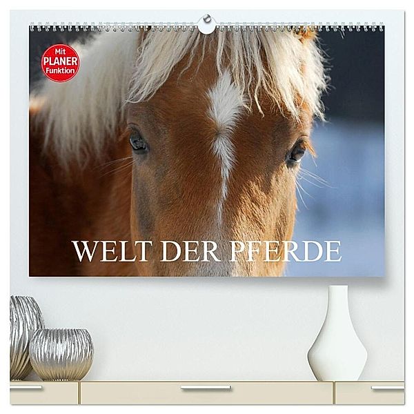 Welt der Pferde (hochwertiger Premium Wandkalender 2025 DIN A2 quer), Kunstdruck in Hochglanz, Calvendo, Sigrid Starick