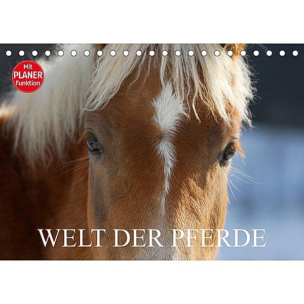 Welt der Pferde (Tischkalender 2023 DIN A5 quer), Sigrid Starick
