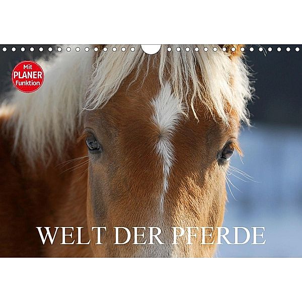 Welt der Pferde (Wandkalender 2021 DIN A4 quer), Sigrid Starick