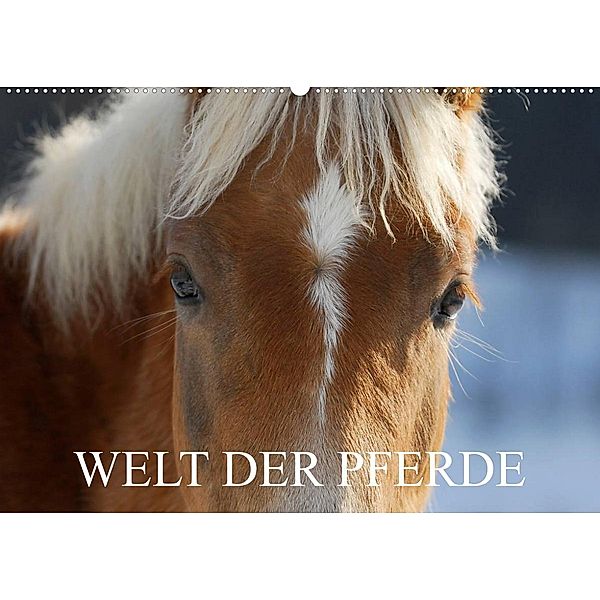 Welt der Pferde (Wandkalender 2023 DIN A2 quer), Sigrid Starick