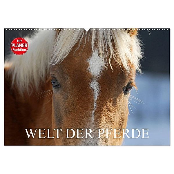 Welt der Pferde (Wandkalender 2024 DIN A2 quer), CALVENDO Monatskalender, Sigrid Starick