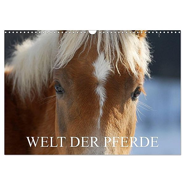 Welt der Pferde (Wandkalender 2024 DIN A3 quer), CALVENDO Monatskalender, Sigrid Starick