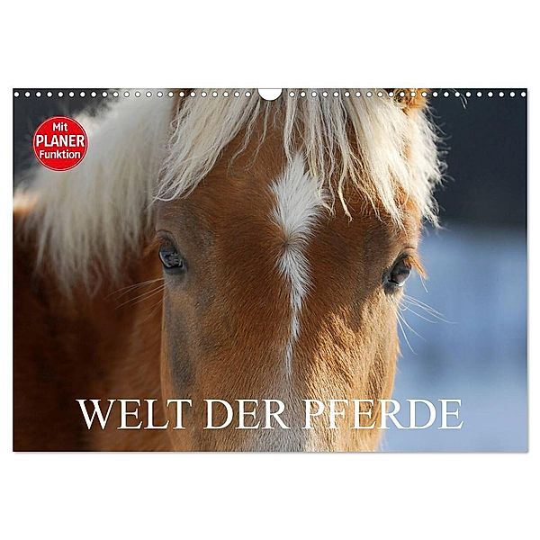 Welt der Pferde (Wandkalender 2024 DIN A3 quer), CALVENDO Monatskalender, Sigrid Starick