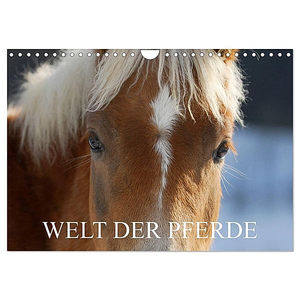 Welt der Pferde (Wandkalender 2025 DIN A4 quer), CALVENDO Monatskalender, Calvendo, Sigrid Starick