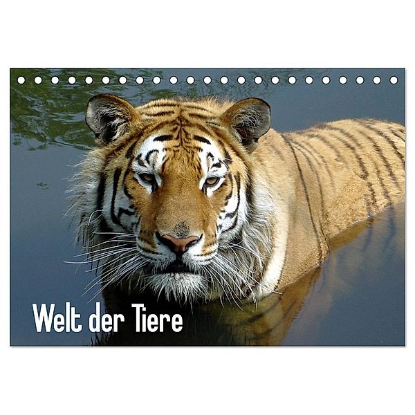 Welt der Tiere (Tischkalender 2024 DIN A5 quer), CALVENDO Monatskalender, Tanja Riedel