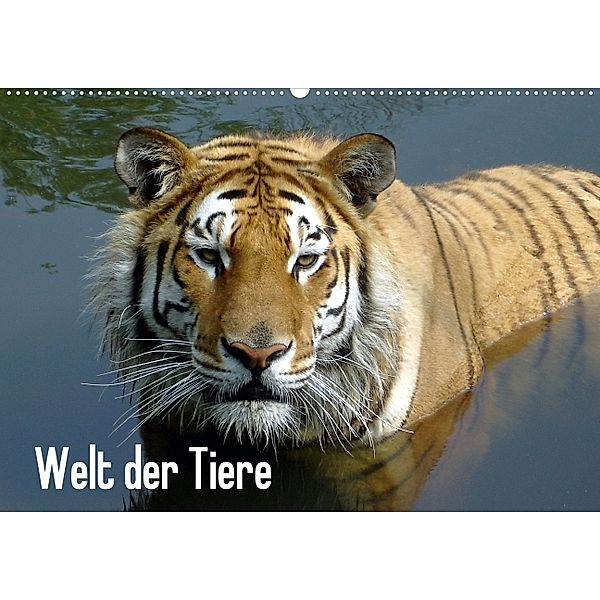 Welt der Tiere (Wandkalender 2014 DIN A2 quer), Tanja Riedel