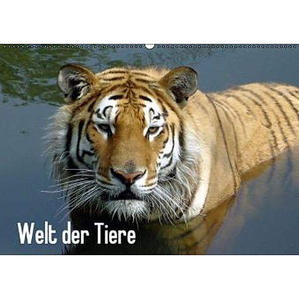 Welt der Tiere (Wandkalender 2015 DIN A2 quer), Tanja Riedel