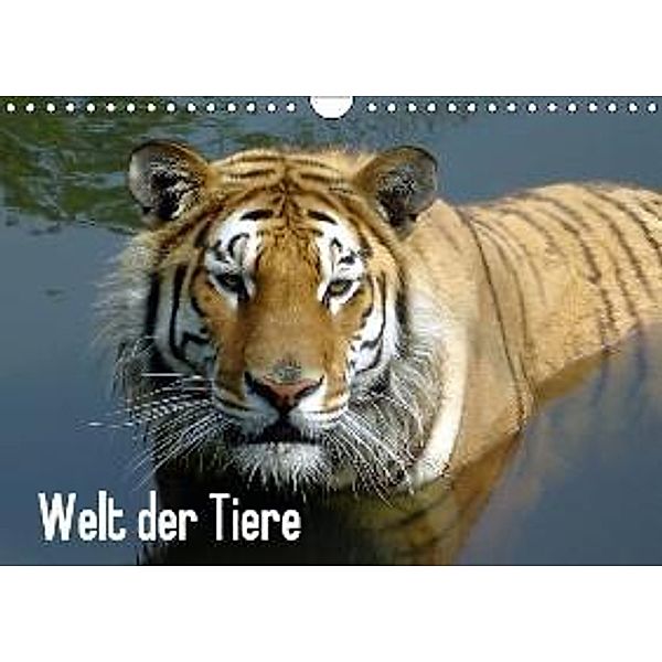 Welt der Tiere (Wandkalender 2016 DIN A4 quer), Tanja Riedel