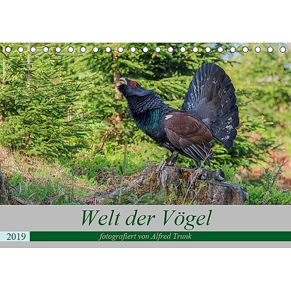 Welt der Vögel (Tischkalender 2019 DIN A5 quer), Alfred Trunk