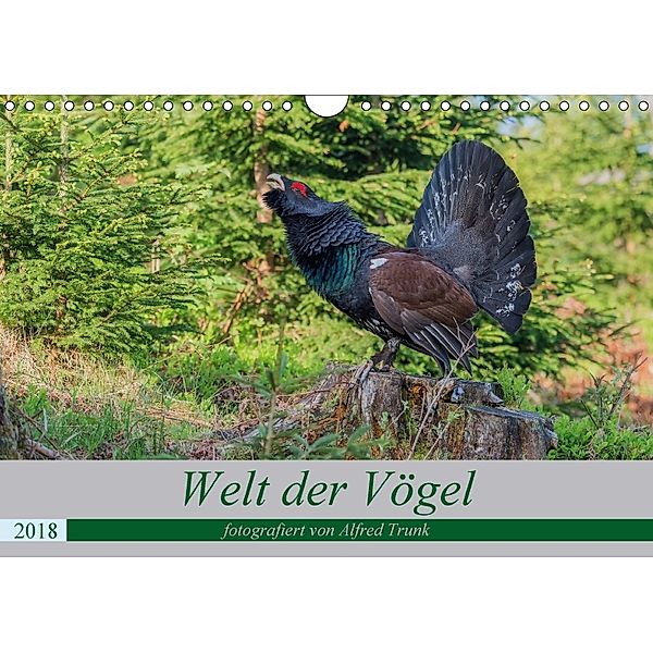 Welt der Vögel (Wandkalender 2018 DIN A4 quer), Alfred Trunk