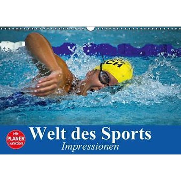 Welt des Sports. Impressionen (Wandkalender 2016 DIN A3 quer), Elisabeth Stanzer