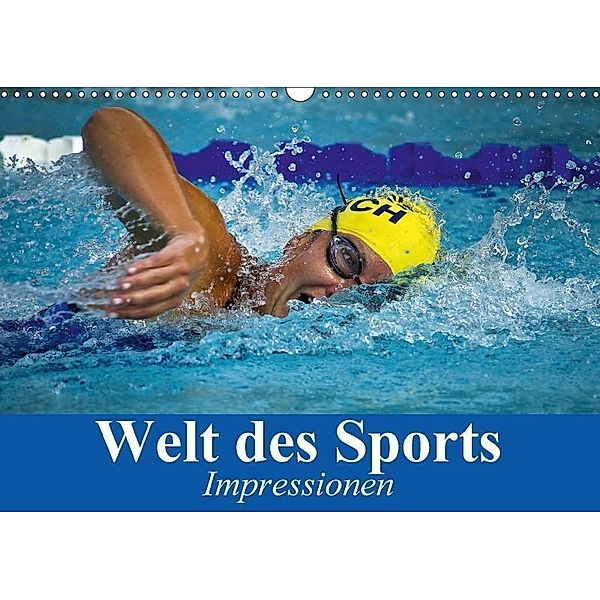 Welt des Sports. Impressionen (Wandkalender 2017 DIN A3 quer), Elisabeth Stanzer