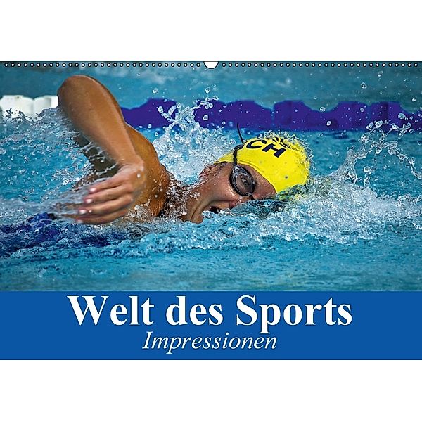 Welt des Sports. Impressionen (Wandkalender 2018 DIN A2 quer), Elisabeth Stanzer