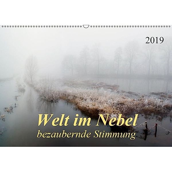 Welt im Nebel - bezaubernde Stimmung (Wandkalender 2019 DIN A2 quer), Peter Roder
