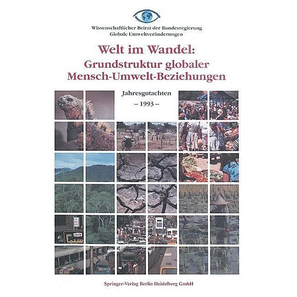 Welt im Wandel: Grundstruktur globaler Mensch-Umwelt-Beziehungen / Welt im Wandel, Kenneth A. Loparo