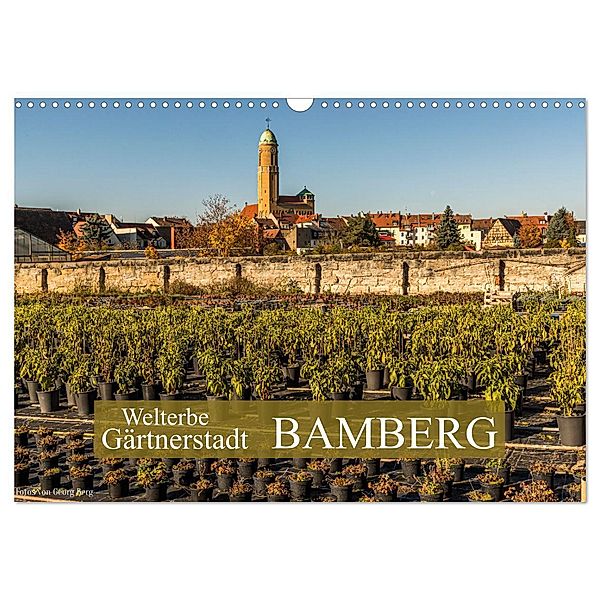 Welterbe Gärtnerstadt Bamberg (Wandkalender 2024 DIN A3 quer), CALVENDO Monatskalender, Georg T. Berg