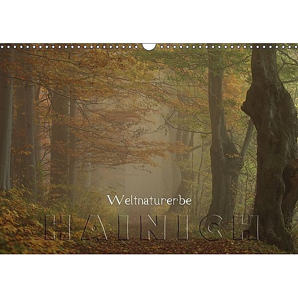 Weltnaturerbe Hainich (Wandkalender 2018 DIN A3 quer), Ralf Weise