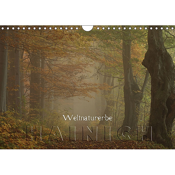 Weltnaturerbe Hainich (Wandkalender 2019 DIN A4 quer), Ralf Weise