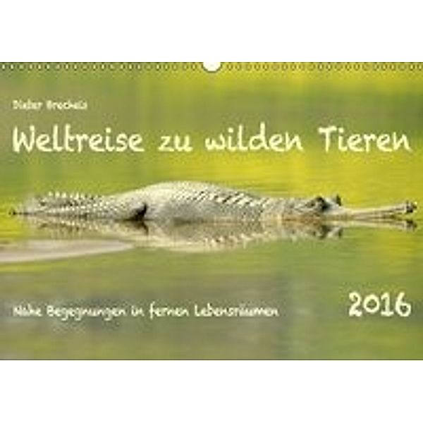 Weltreise zu wilden Tieren (Wandkalender 2016 DIN A3 quer), Dieter Brecheis