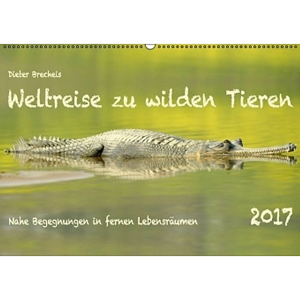 Weltreise zu wilden Tieren (Wandkalender 2017 DIN A2 quer), Dieter Brecheis