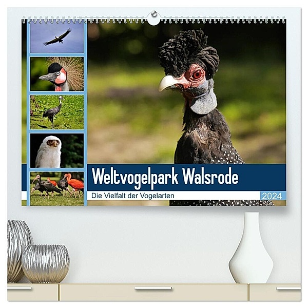 Weltvogelpark Walsrode - Die Vielfalt der Vogelarten (hochwertiger Premium Wandkalender 2024 DIN A2 quer), Kunstdruck in Hochglanz, Frank Gayde