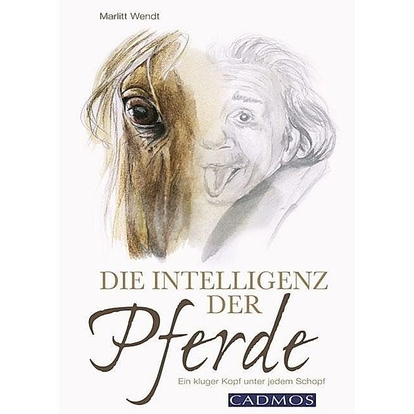 Wendt, M: Intelligenz der Pferde, Marlitt Wendt