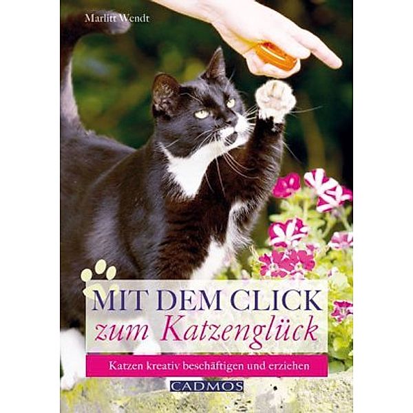 Wendt, M: Mit dem Click zum Katzenglück, Marlitt Wendt