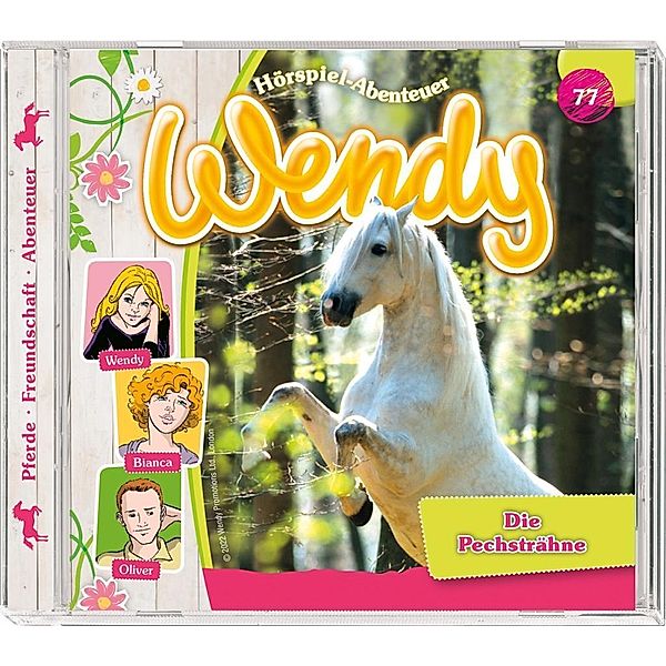 Wendy - Die Pechsträhne, 1 Audio-CD, Wendy