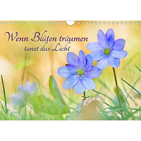 Wenn Blüten träumen tanzt das Licht (Wandkalender 2020 DIN A4 quer), Karin Berger