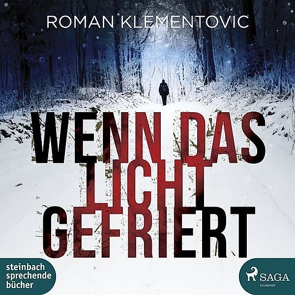 Wenn das Licht gefriert,2 Audio-CD, MP3, Roman Klementovic