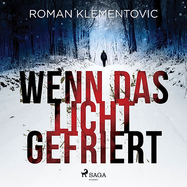 Wenn das Licht gefriert, Roman Klementovic