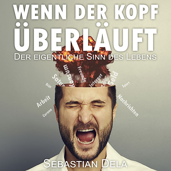 Wenn der Kopf überläuft Der eigentliche Sinn des Lebens, Sebastian Dela