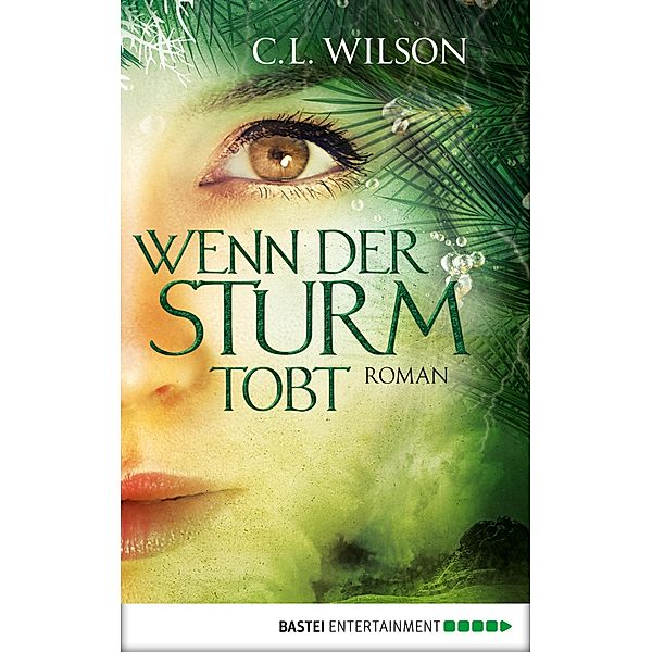 Wenn der Sturm tobt / Mystral Bd.4, C. L. Wilson