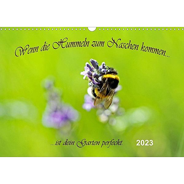 Wenn die Hummeln zum naschen kommen, ist dein Garten perfekt (Wandkalender 2023 DIN A3 quer), Konstanze Junghanns