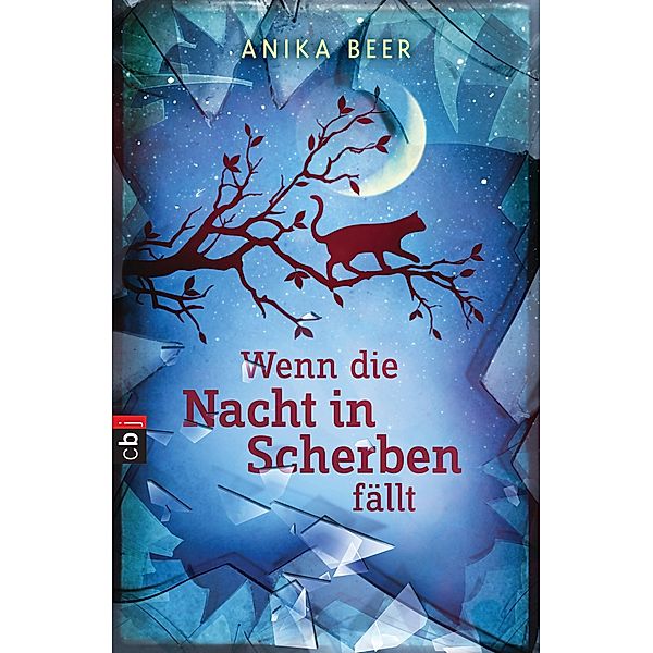 Wenn die Nacht in Scherben fällt, Anika Beer