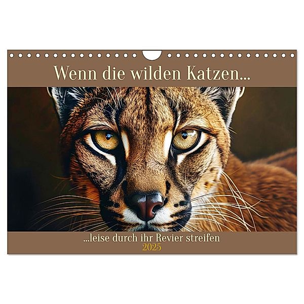 Wenn die wilden Katzen leise durch ihr Revier streifen (Wandkalender 2025 DIN A4 quer), CALVENDO Monatskalender, Calvendo