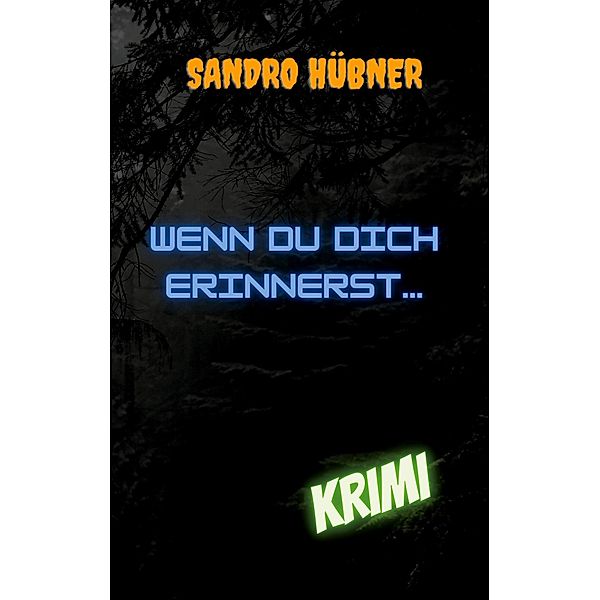 Wenn du dich erinnerst..., Sandro Hübner