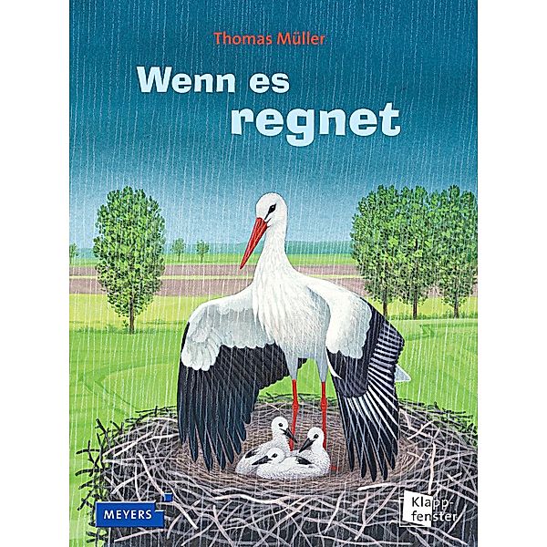 Wenn es regnet, Thomas Müller