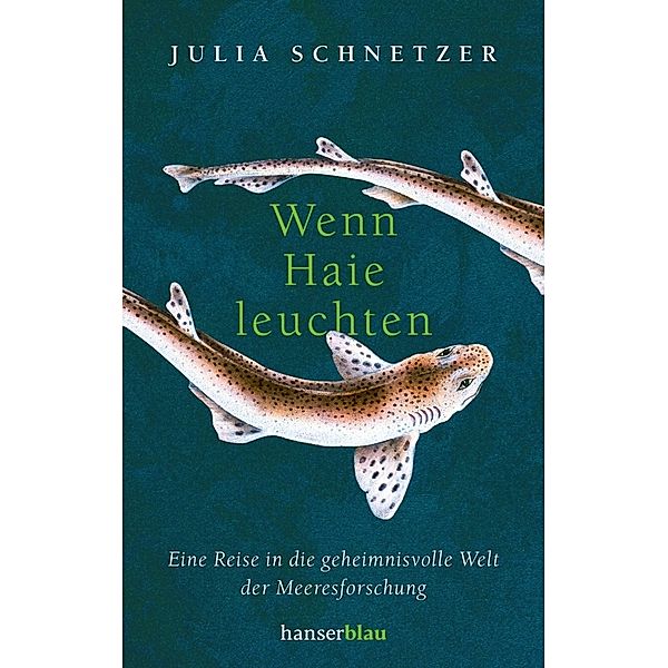 Wenn Haie leuchten, Julia Schnetzer