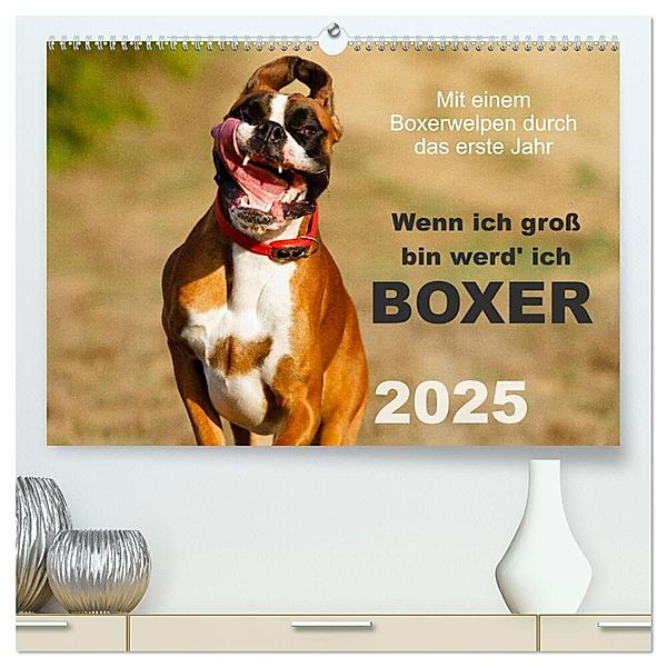 Wenn ich gross bin werd' ich Boxer (hochwertiger Premium Wandkalender 2025 DIN A2 quer), Kunstdruck in Hochglanz, Calvendo, Kerstin Mielke