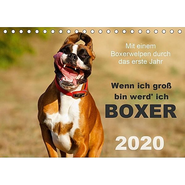 Wenn ich groß bin werd' ich Boxer (Tischkalender 2020 DIN A5 quer), Kerstin Mielke