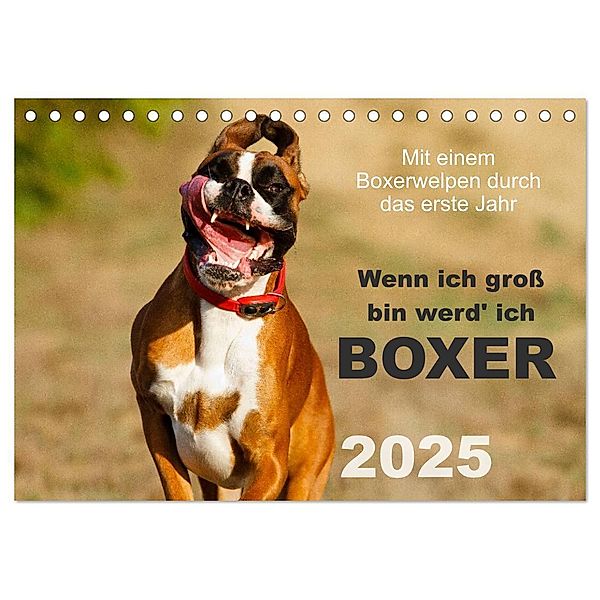 Wenn ich gross bin werd' ich Boxer (Tischkalender 2025 DIN A5 quer), CALVENDO Monatskalender, Calvendo, Kerstin Mielke