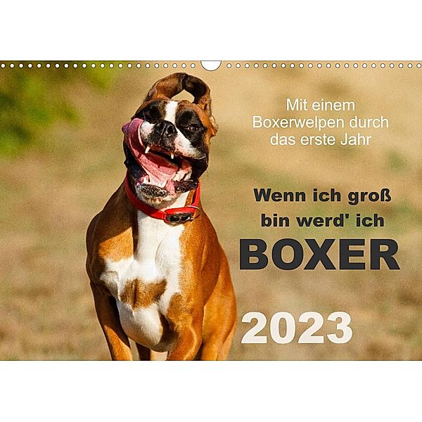 Wenn ich groß bin werd' ich Boxer (Wandkalender 2023 DIN A3 quer), Kerstin Mielke