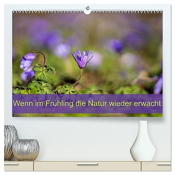 Wenn im Frühling die Natur wieder erwacht (hochwertiger Premium Wandkalender 2025 DIN A2 quer), Kunstdruck in Hochglanz, Calvendo, Monika Scheurer
