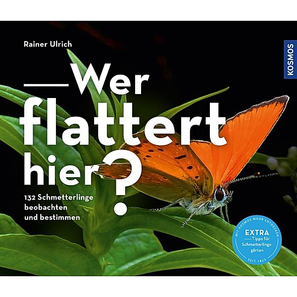 Wer flattert hier, Rainer Ulrich