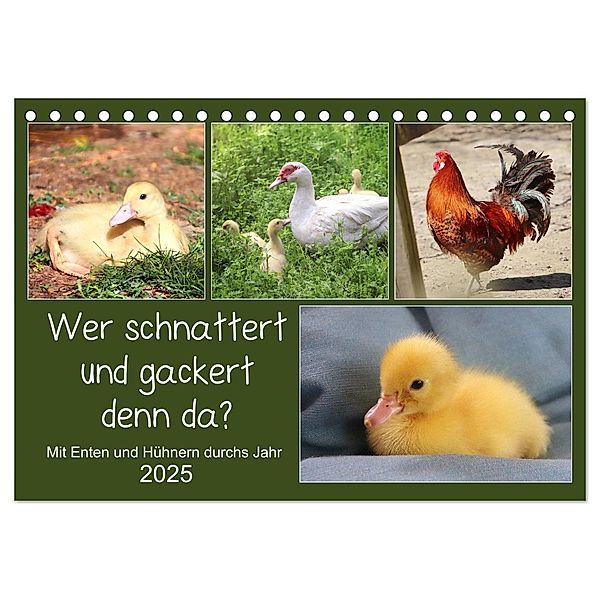 Wer gackert und schnattert denn da? Mit Enten und Hühnern durchs Jahr (Tischkalender 2025 DIN A5 quer), CALVENDO Monatskalender, Calvendo, Sabine Löwer