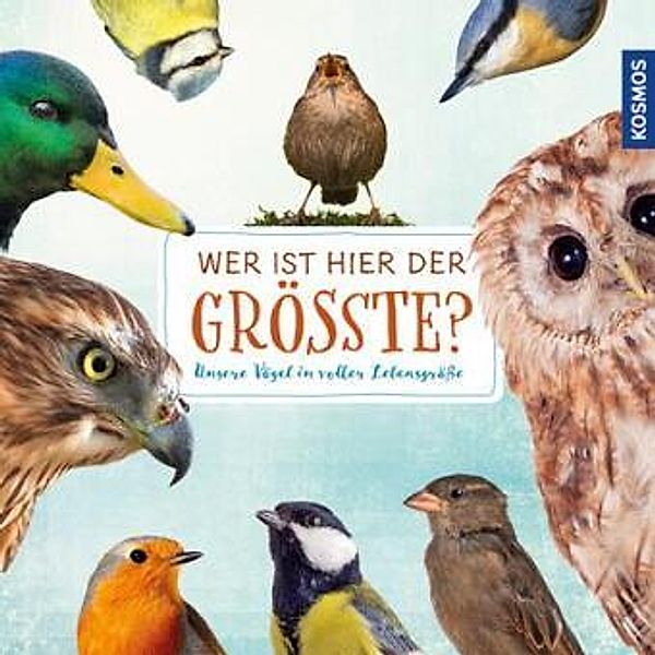 Wer ist hier der Größte?, Daniela Strauß